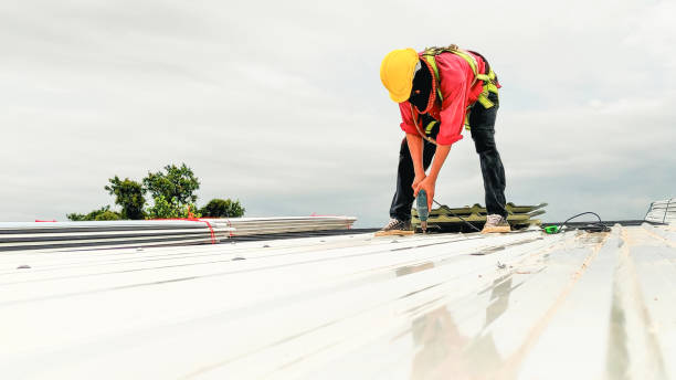 Best Gutter Installation and Repair  in Mount Jackson, VA