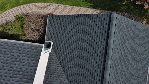 Best Roof Maintenance and Cleaning  in Mount Jackson, VA