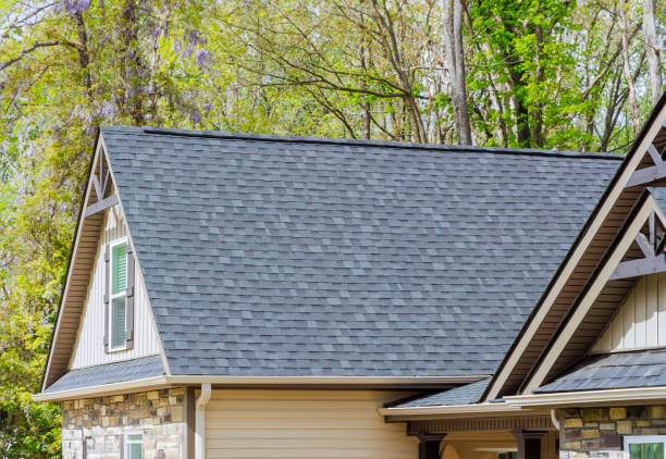 Best Asphalt Shingle Roofing  in Mount Jackson, VA