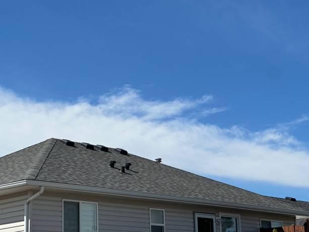 Best Steel Roofing  in Mount Jackson, VA