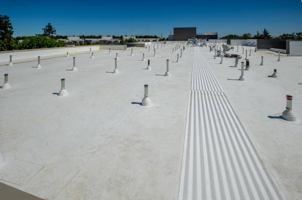 Best Roof Ventilation Installation  in Mount Jackson, VA